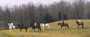 Cross country schooling and competitions